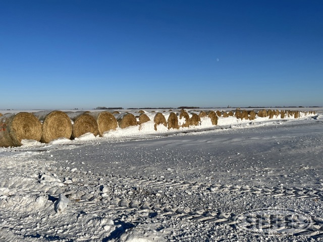 (60) Cropland Certified Pearl Millet bales,